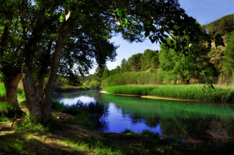 Área Recreativa Casas del río Área Recreativa Casas del río